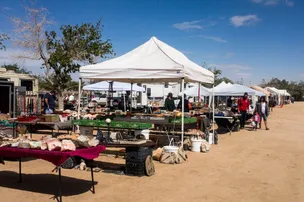 Joshua Tree RV Campground – photo 3