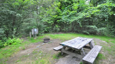 Premium Tent Site — image 6 of 6
