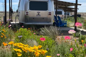 Marfa Yacht Club – photo 3