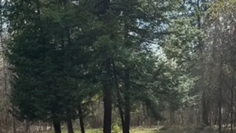 Group Tent Site — image 1 of 2