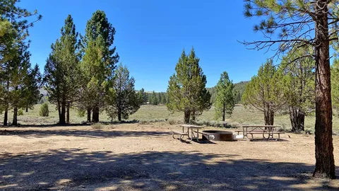 Meadow Edge Large — image 4 of 4
