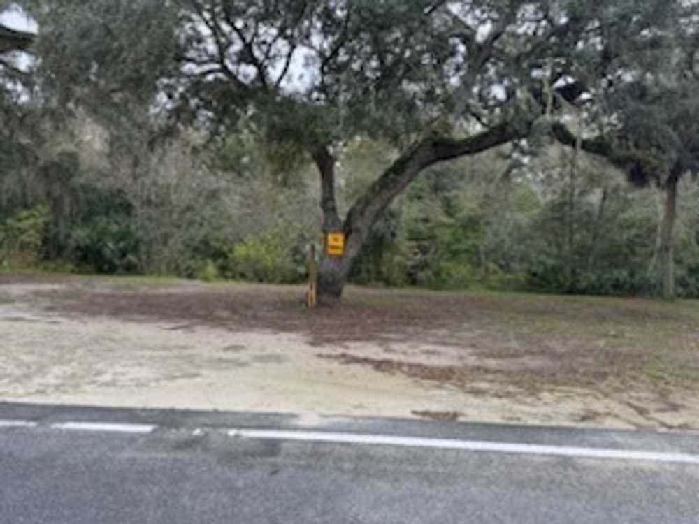 Hinton Landing - Old Town, FL - Photo 5