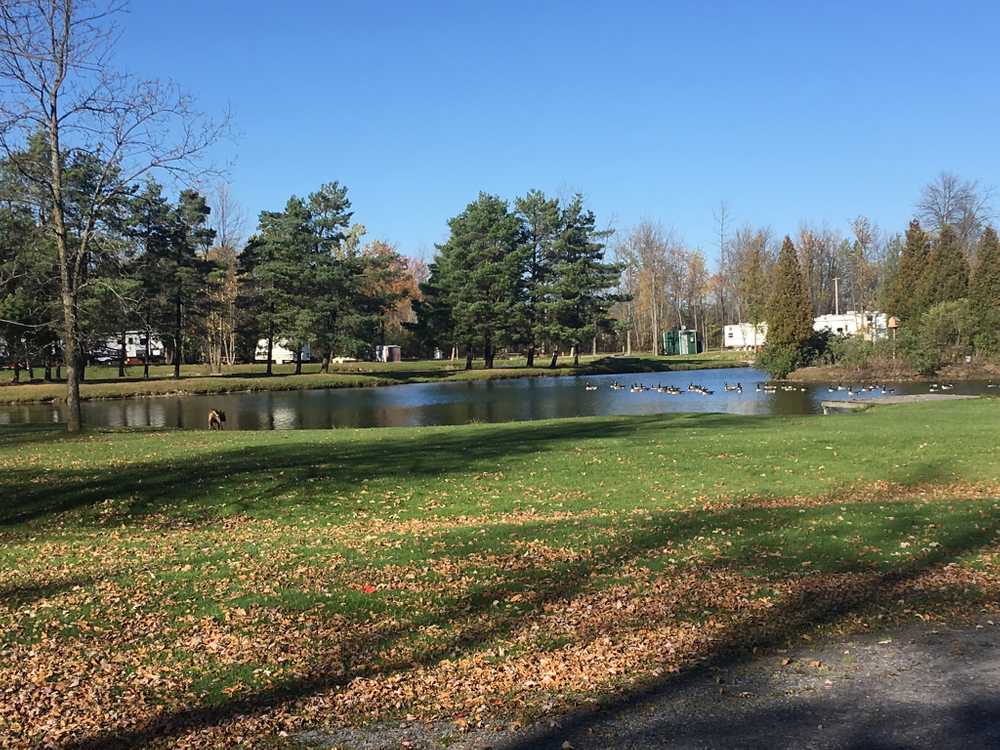 Upper Canada Campground - Photo 5