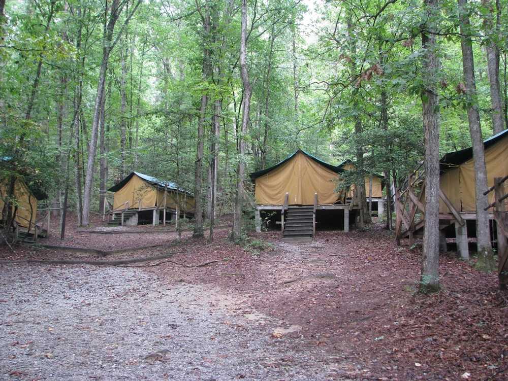 Camp WaBak Pioneer