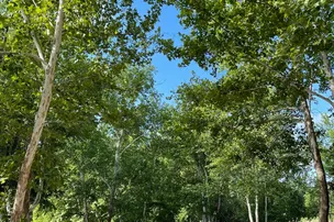 Yeager Creek RV Resort – photo 2