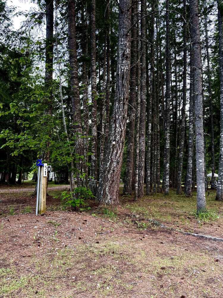 Ross Creek Campground - Magna Bay, BC - Photo 5