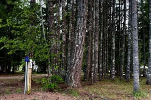 Ross Creek Campground – photo 5