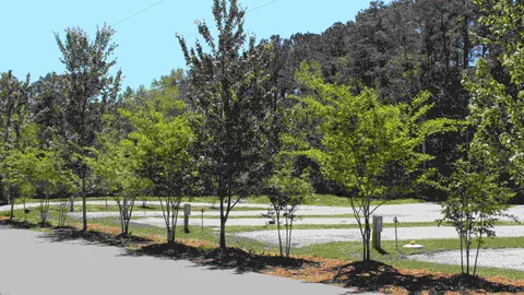 Non-Metered RV Site — image 6 of 6