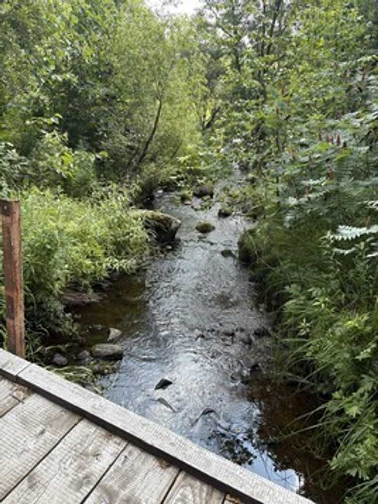 Rum River Campground, Onamia, Minnesota - Photo 5