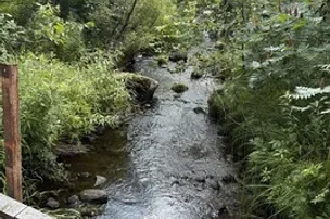 Rum River Campground – photo 5