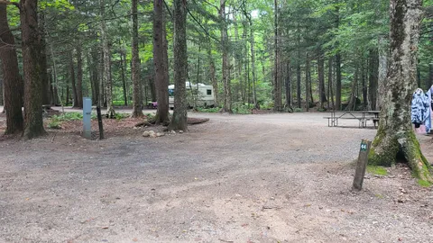 RV- Full Hook Up, Wooded — image 1 of 3