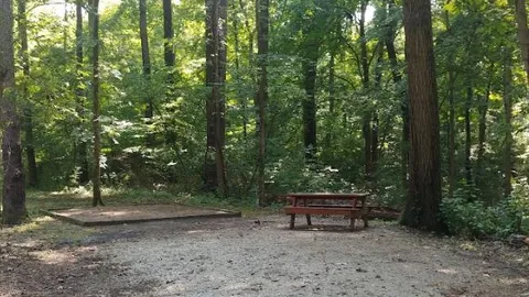 Primitive Campsite — image 1 of 11