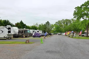 Water's Edge RV Park & Marina – photo 5