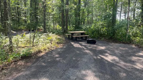 Tent/Van/Truck Camper Site — image 1 of 1