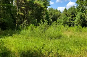 Camp Krenari – photo 2