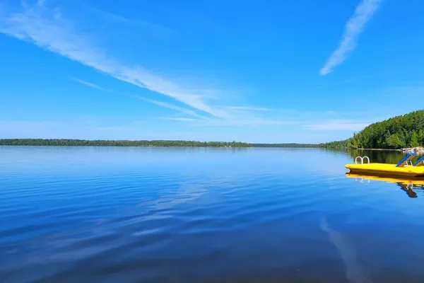 The Woods on WildGoose Lake – photo 1