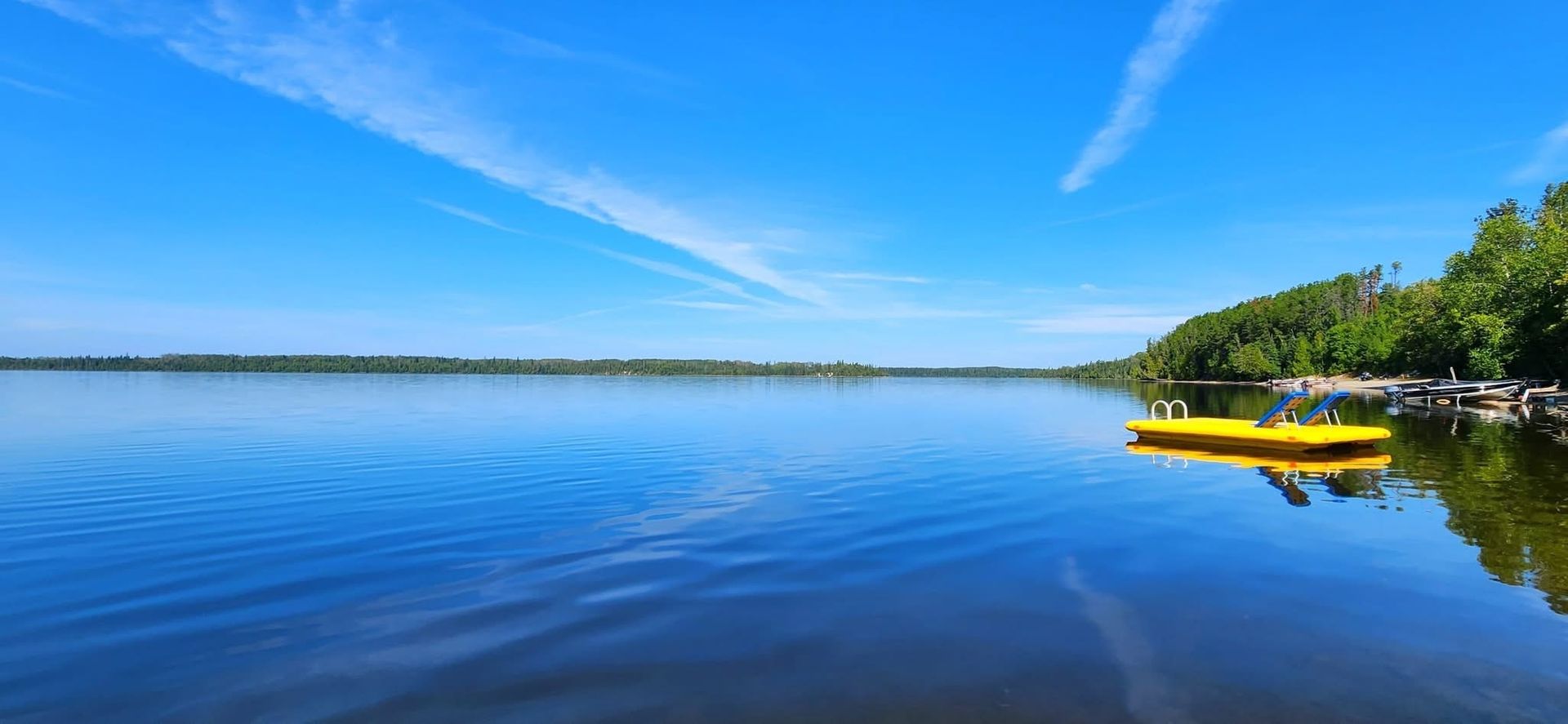 The Woods on WildGoose Lake