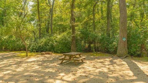 Tent Site — image 2 of 3
