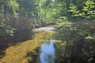 Boylston Creek RV Park and Cabins – photo 3