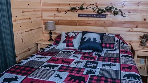 1 Bedroom Deluxe Cabin — image 2 of 6