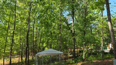 Campsite #5 RV/ Tent Site 30’ x 18’  Electric & Water Hookup, Level Gravel Pad with Back Yard andShaded Fenced Enclosure for your Pets, Back In — image 8 of 8