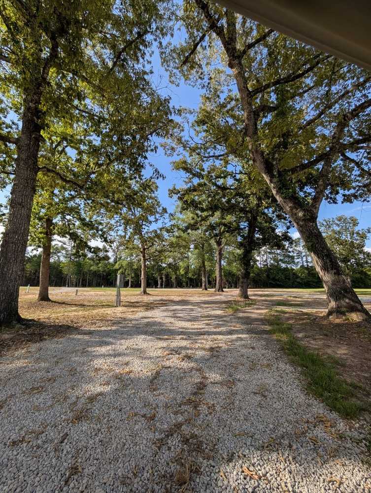 Park Image 9