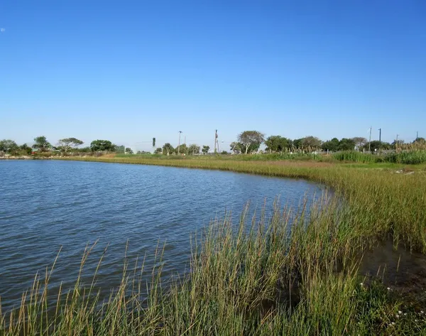Cedar Cove RV Resort campground