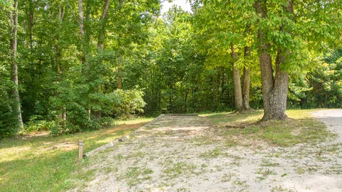 Primitive Campsite — image 1 of 1