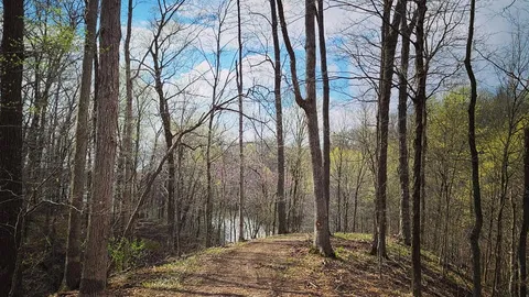 Nature Cabin — image 7 of 7