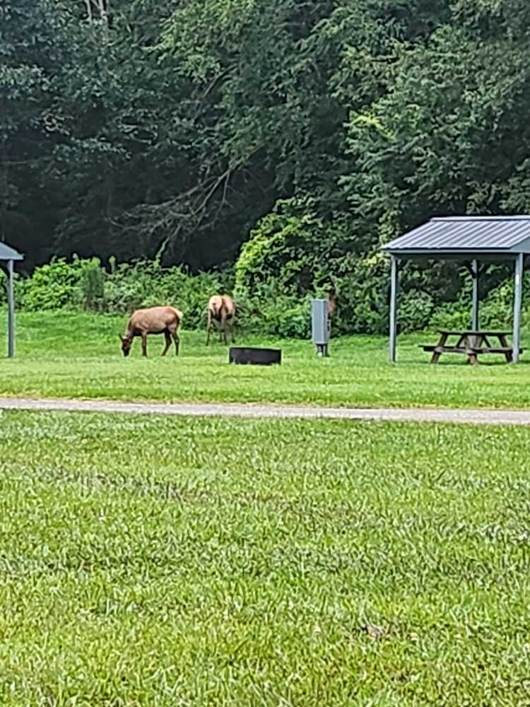 Park Image 11