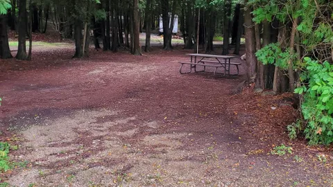 DUR Site 201 - Serviced (T) — image 1 of 2