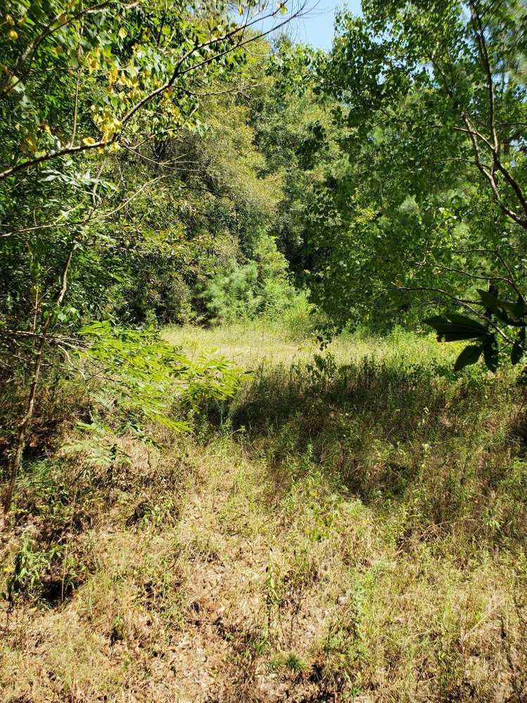 Camp Krenari, Shepherd, Texas - Photo 3