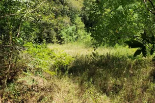 Camp Krenari – photo 3