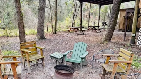 Tree House — image 2 of 10