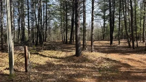 Group Tent Site-Water & Electric Only-Site 21 — image 2 of 2