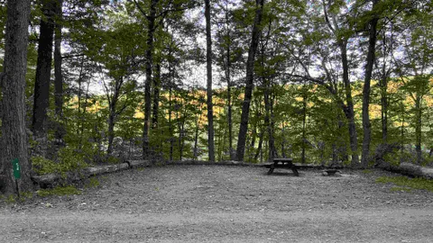 Forest Tent Site - 5 Person Maximum — image 6 of 6