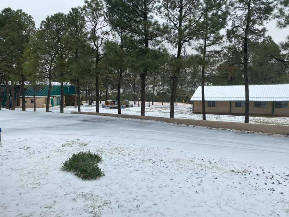 Slow Play RV Park - Photo 5