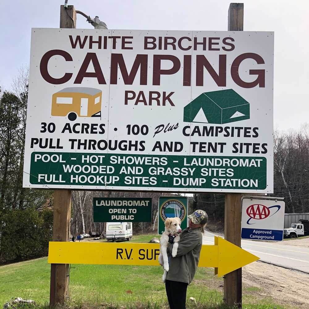 White Birches Camping Park - Photo 3