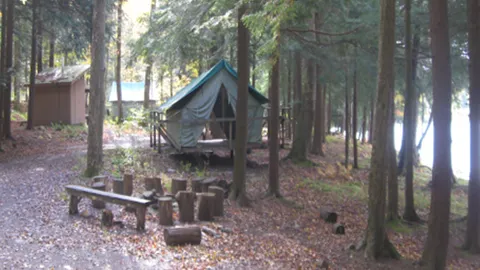 Camp Amahami - Lorelei Tent Unit — image 1 of 1