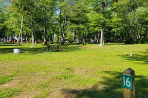 Sherman Park Campground – photo 3