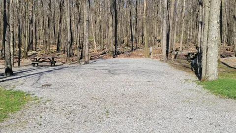 Standard RV/Tent Site/Electric Only — image 2 of 4