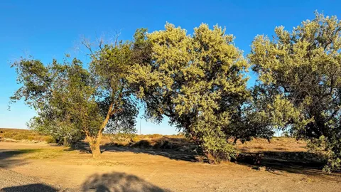 Group RV Site — image 1 of 2