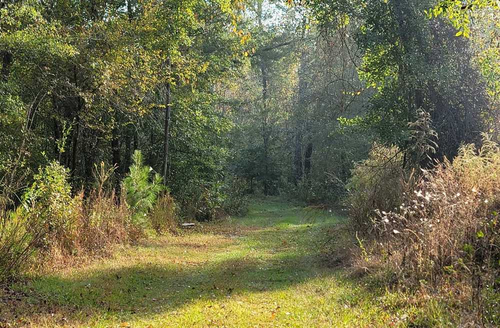 Park Image 8