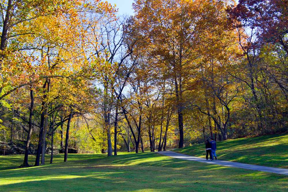 Park Image 7