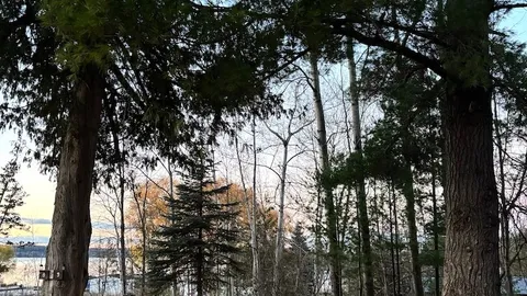 Partial Lake View — image 4 of 4