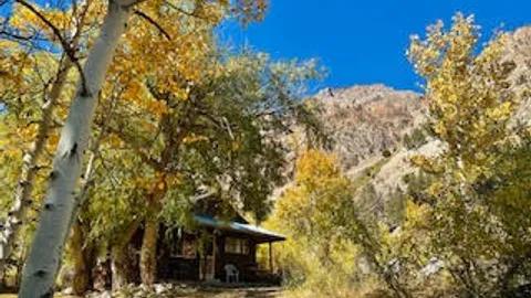 Cabin 3 (2 Bedroom 1 Bath) — Group XL Cabin — image 1 of 12