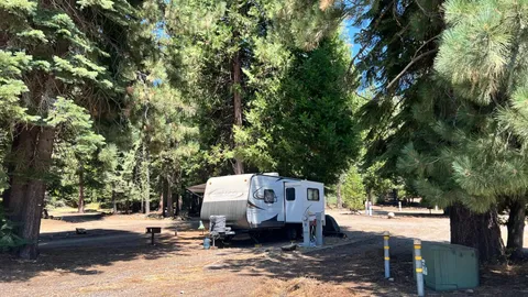 Premium Pull-Thru RV Site — image 1 of 1