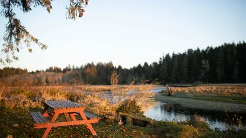 Un-serviced Wood Land Tent Sites (69-70, 99-104) — image 1 of 8