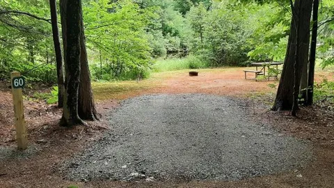 Pond side Water + Electric Tent Site — image 1 of 2