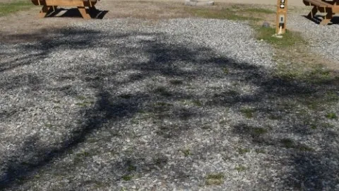 Beachfront Premium RV Site — image 23 of 23